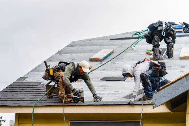 Professional Roof Replacement technician working in Leggett, TX